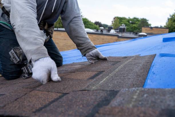 Best Gutter Installation and Roofing  in Liberty, TX